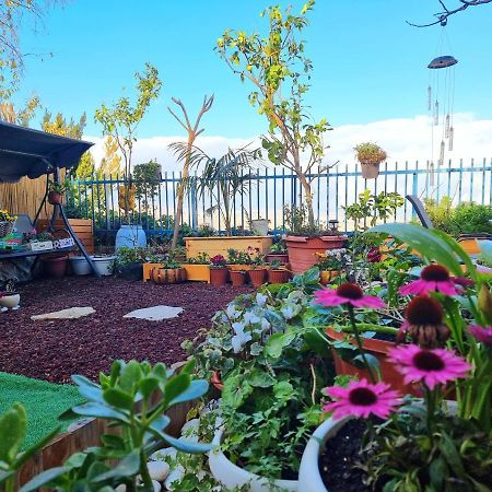 ירושלים Pleasant Cozy Sunny Room With Garden מראה חיצוני תמונה