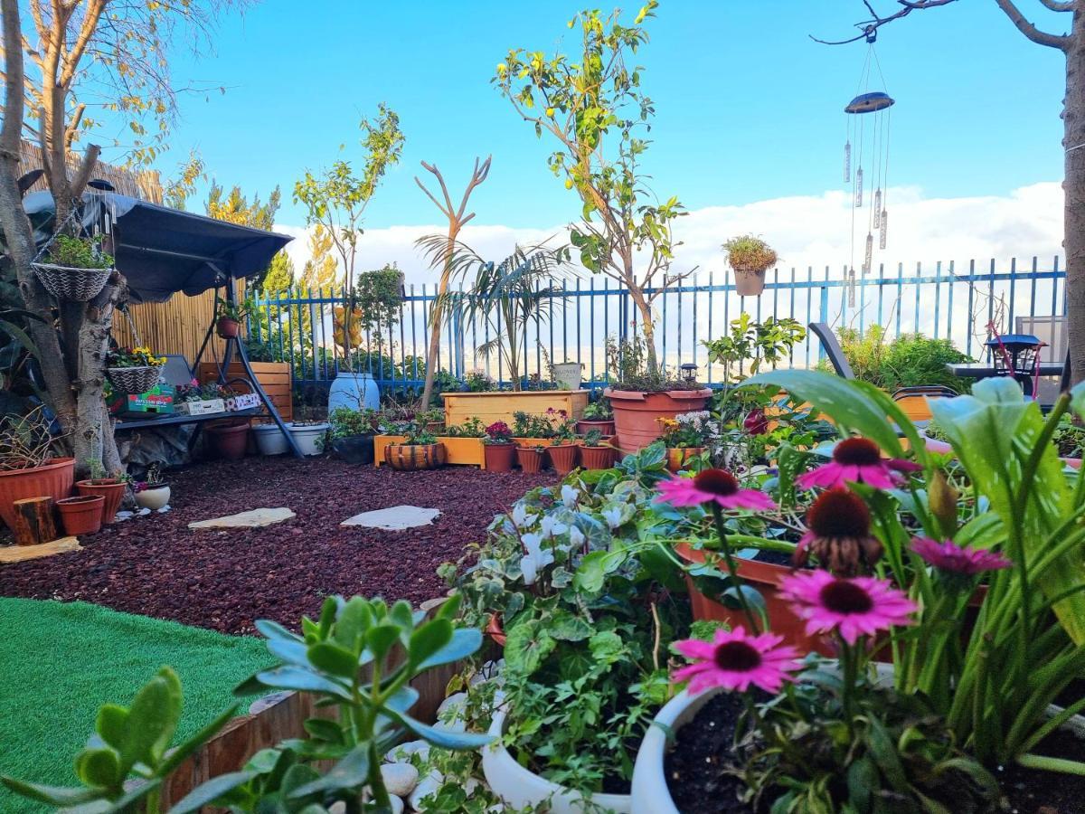 ירושלים Pleasant Cozy Sunny Room With Garden מראה חיצוני תמונה